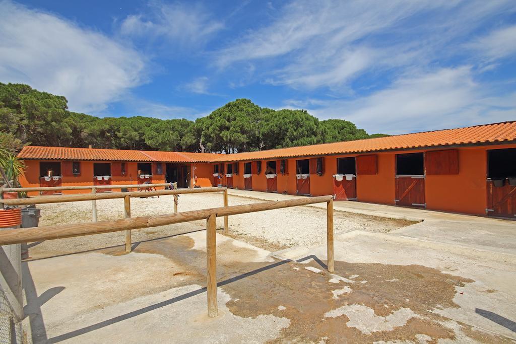 Quinta Da Bicuda Βίλα Κασκαΐς Εξωτερικό φωτογραφία